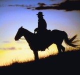 Cowboy Sighting